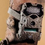 SET UP TRAIL CAMERA